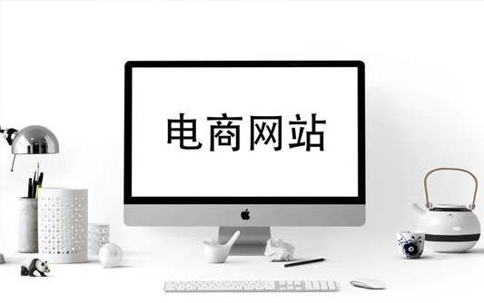 電商網(wǎng)站建設(shè)
